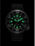 Citizen Promaster Eco-Drive Diver's Watch