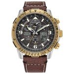 Citizen Men's Vintage Eco-Drive Brown Watch 45mm