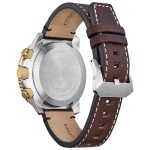 Citizen Men's Vintage Eco-Drive Brown Watch 45mm