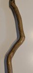 Knotted Wood Cane Walking Stick with Horn Handle