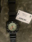 Citizen Promaster Eco-Drive Dive Watch BN0227-17X