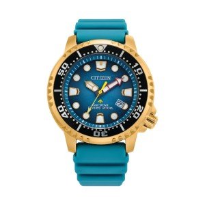 Citizen Promaster Eco-Drive Diver Watch for Men