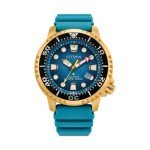 Citizen Promaster Eco-Drive Diver Watch for Men
