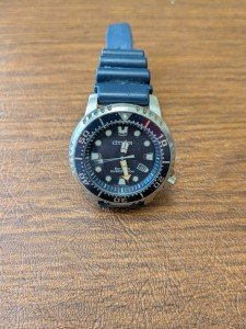 Citizen Eco-Drive Promaster Diver Watch 200m