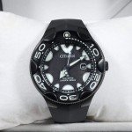 Citizen Promaster Orca Black Dial Diver's Watch