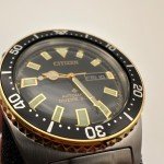 Citizen Promaster Automatic Black Dial Men’s Watch
