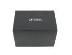 Citizen Eco-Drive Vintage Silver Perpetual Calendar Watch