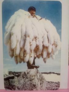 Vintage Hudson's Bay Company Albino Mink