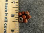 Huron Indian Hudson's Bay Company Green Heart Beads