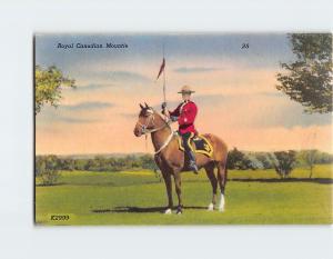 Royal Canadian Mountie Vintage Postcard