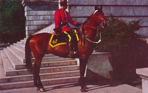 Vintage Royal Canadian Mountie on Plains of Abraham