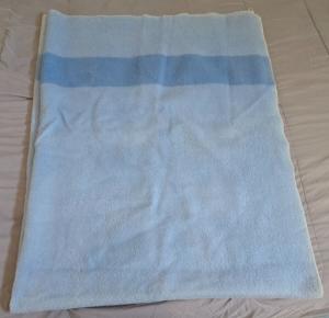 Hudson's Bay Co. Blue Wool Blanket, 72x90