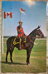 1970s Vintage RCMP Mountie Horseback Postcard