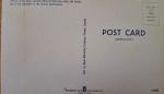 Royal Canadian Mounted Police Musical Ride Postcard