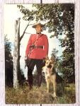 Royal Canadian Mounted Policeman Postcard with Dog