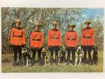 Royal Canadian Mounties Action Postcard
