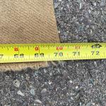 1930s Hudson Bay Wool Trade Blanket - 70x84