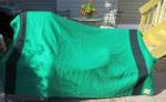 Hudson Bay Company Vintage Green Wool Blanket