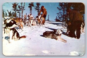 Hudson's Bay Dogsled Snow Postcard Canada