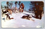 Hudson's Bay Dogsled Snow Postcard Canada