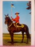 Vintage 50s Royal Canadian Mounted Police Banner