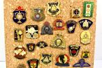 Collector Pins Set - Vintage Canadian Law Enforcement