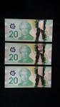 Set of Three 2012 Canadian Polymer $20 Notes