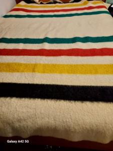 Vintage Hudson's Bay 4-Point Wool Blanket 1930s