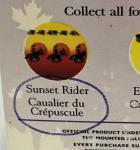 Hand Painted Glass RCMP Ornament - Sunset Rider