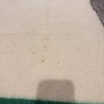 Hudson’s Bay Point Vintage Wool Blanket, Gold 86"x70