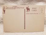 1960s Royal Canadian Mounted Police Vancouver Postcard