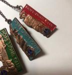 Vintage HOPE LIONS CLUB Copper Enamel Pin Set