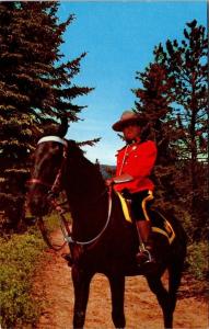 Vintage Royal Canadian Mountie Postcard