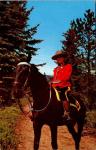 Vintage Royal Canadian Mountie Postcard