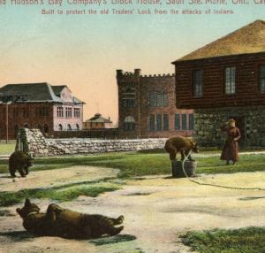 Hudson's Bay Co. Vintage Block House Bears Postcard