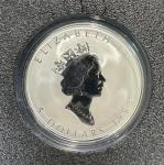 Royal Canadian Mounted Police Silver Maple Leaf Set