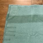 Hudsons Bay Vintage Wool Point Blanket Green Stripe