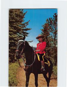Royal Canadian Mountie Vintage Postcard