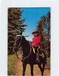 Royal Canadian Mountie Vintage Postcard