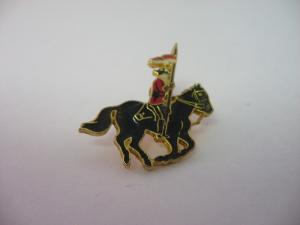 Royal Canadian Mounted Police Pin