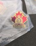 RCMP Vintage Enamel Pin Collection of 15