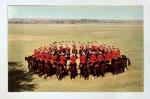 1960s Vintage RCMP Mounties Horseback Postcard
