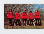 Royal Canadian Mounties Vintage Postcard Collection