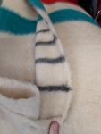 Hudson's Bay Vintage Wool Striped Blanket