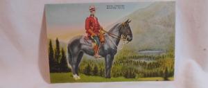 Royal Canadian Mounted Police Mountie Vintage Postcard
