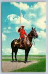 Royal Canadian Mounted Police Chrome Postcard