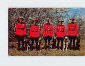 Royal Canadian Mounties Vintage Postcard Collection
