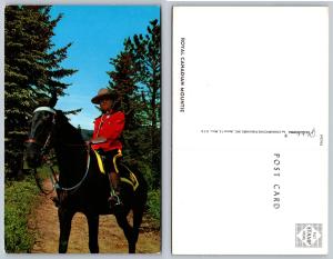 Royal Canadian Mountie Horseback Vintage Postcard
