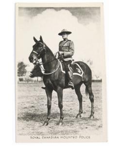Vintage c1900 RCMP Horse Postcard