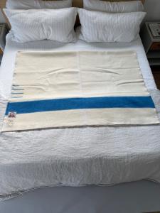 Hudson's Bay Vintage Blue Stripe Wool Blanket
